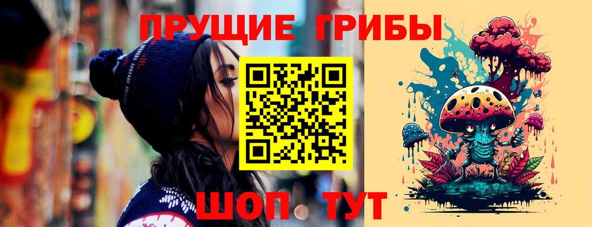 Людиново  Псилоцибиновые грибы MAGIC MUSHROOMS  Вход с VPN 